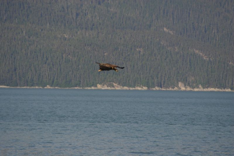 062404 Haines AK (10066)